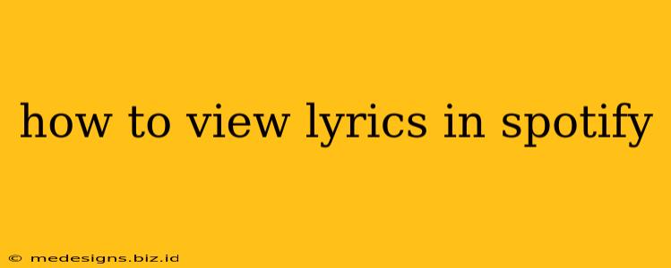 how to view lyrics in spotify