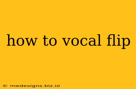 how to vocal flip