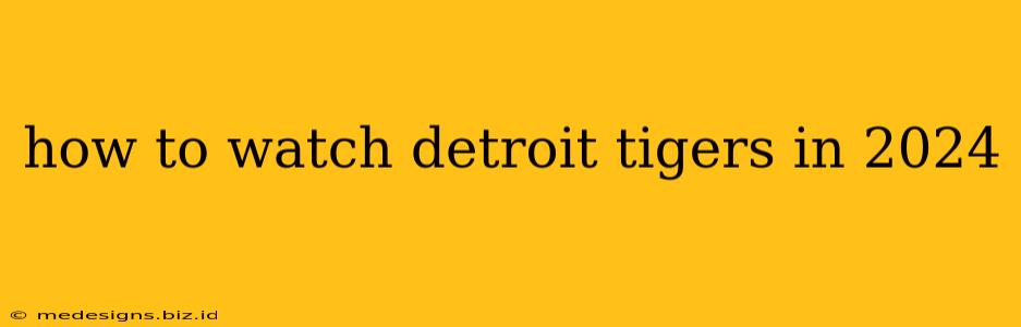how to watch detroit tigers in 2024