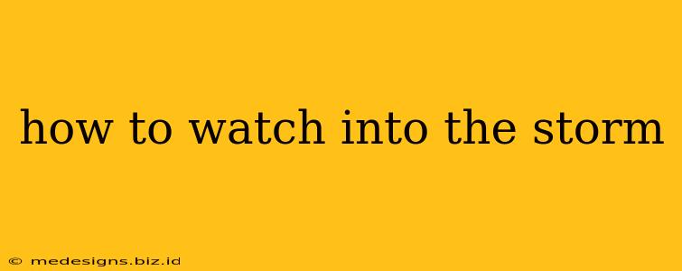 how to watch into the storm