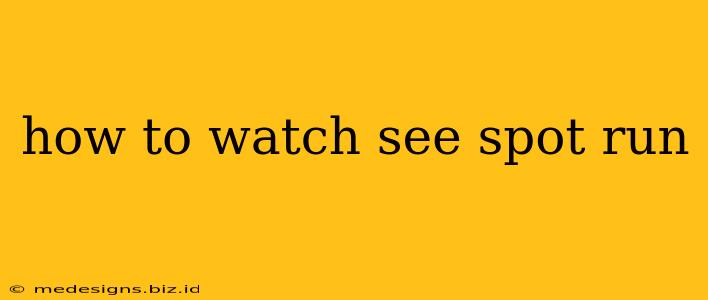 how to watch see spot run