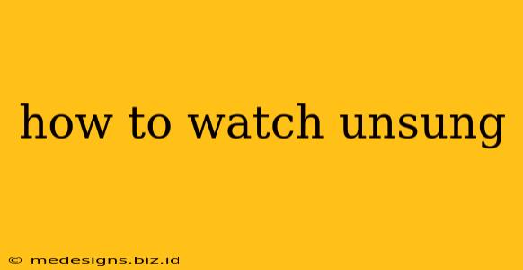 how to watch unsung