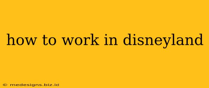 how to work in disneyland