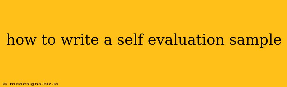 how to write a self evaluation sample