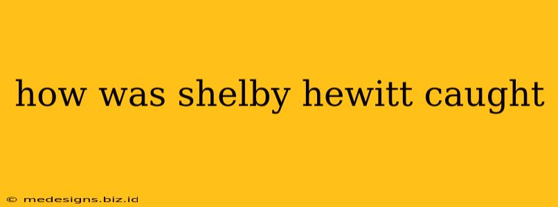 how was shelby hewitt caught