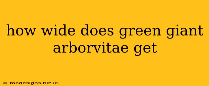 how wide does green giant arborvitae get