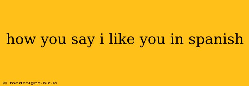 how you say i like you in spanish