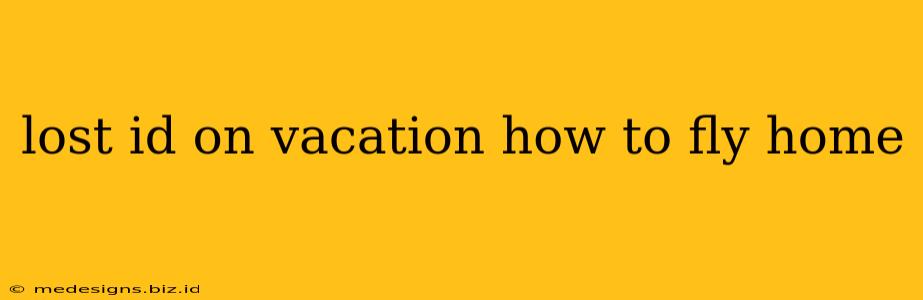lost id on vacation how to fly home