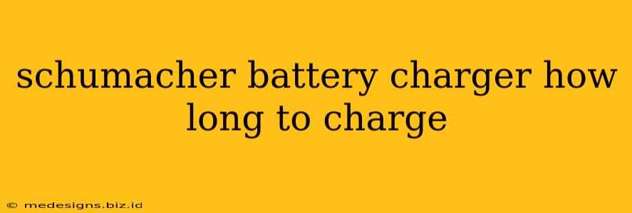 schumacher battery charger how long to charge