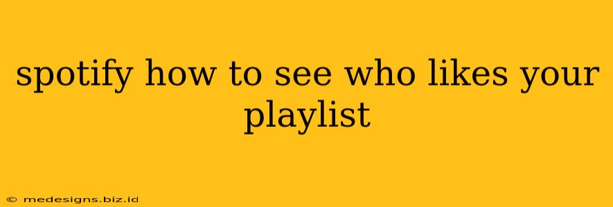 spotify how to see who likes your playlist