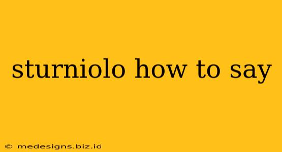 sturniolo how to say