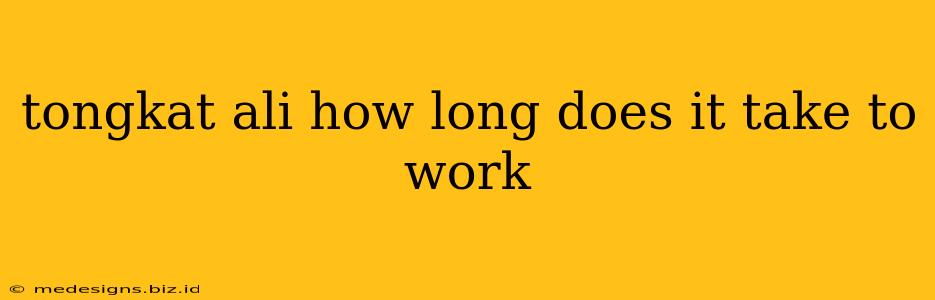 tongkat ali how long does it take to work
