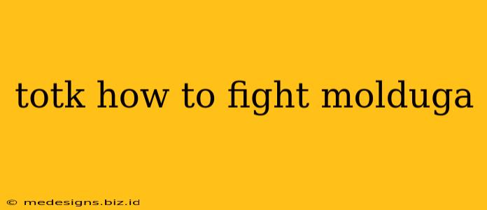 totk how to fight molduga