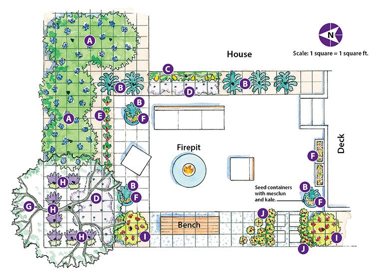Designing Your Dream Edible Paradise: A Comprehensive Guide to Perennial Edible Landscape Planning