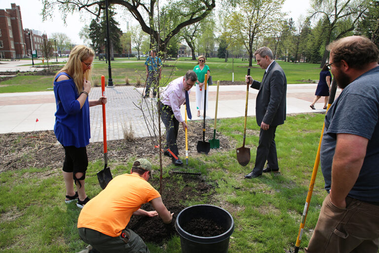 Rooting for the Future: A Deep Dive into Arbor Day Tree Planting Initiatives