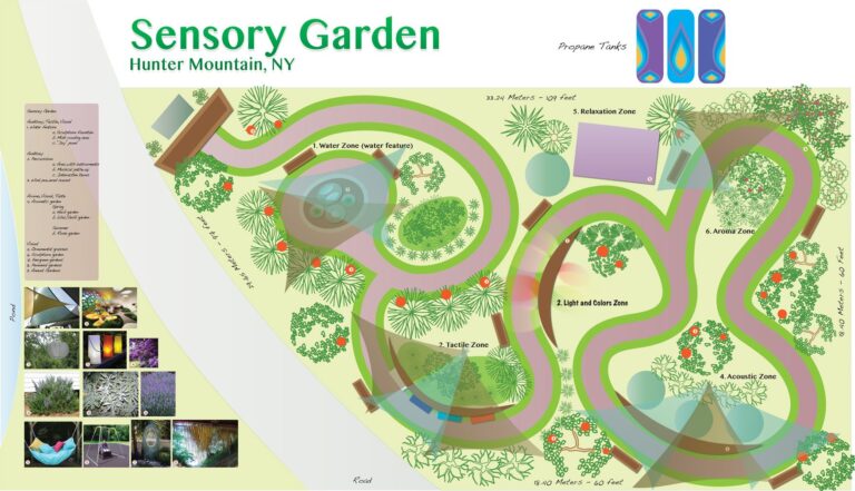 Designing a Sensory Courtyard: A Guide to Creating an Oasis for the Senses