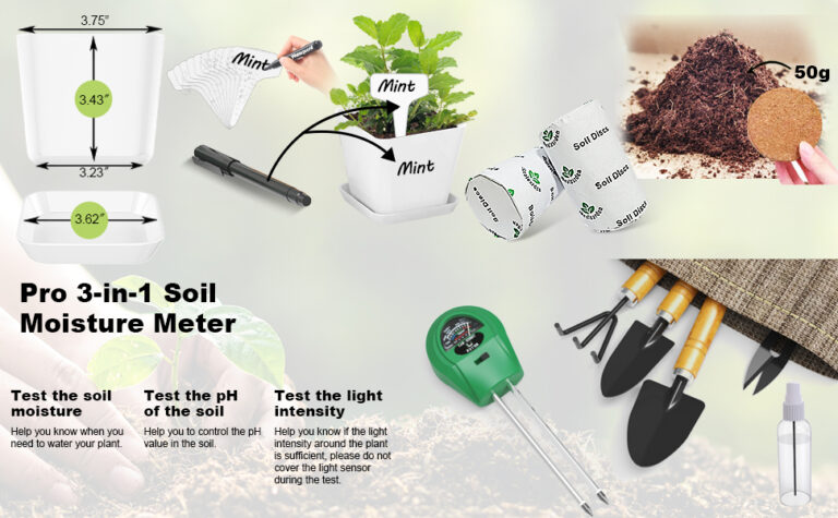 Grow Your Own Green Oasis: A Comprehensive Guide to Indoor Herb Garden Starter Kits