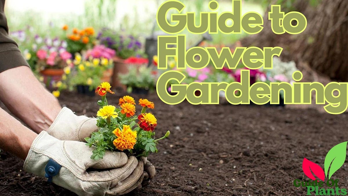 Unearthing Success: Your Ultimate Guide to Choosing the Right Planting Medium for Thriving Plants