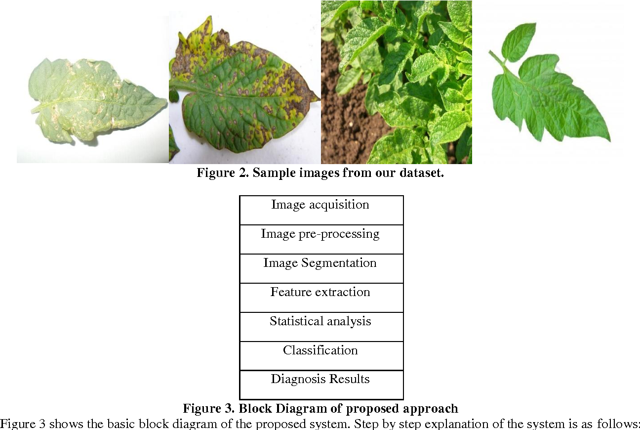 Decoding the Distress: A Comprehensive Guide to Understanding Plant Disease Diagnosis