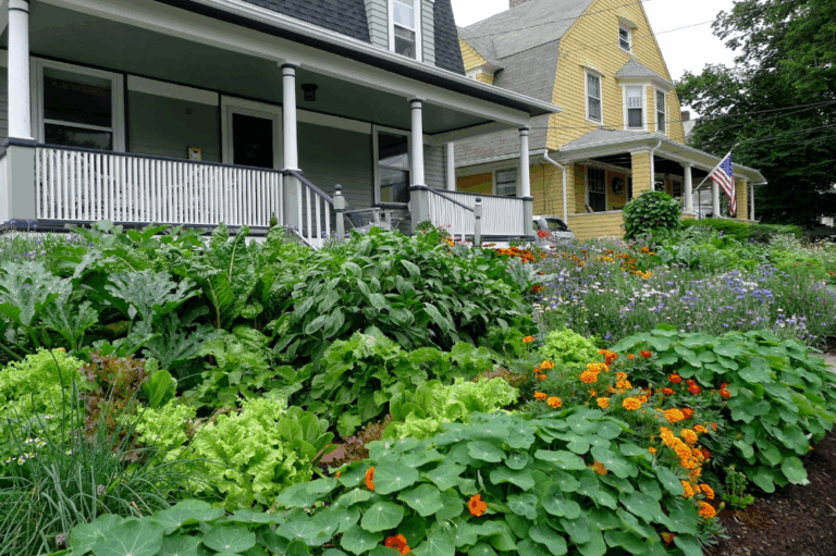 Transform Your Front Yard: A Guide to Beautiful & Bountiful Perennial Edible Landscaping