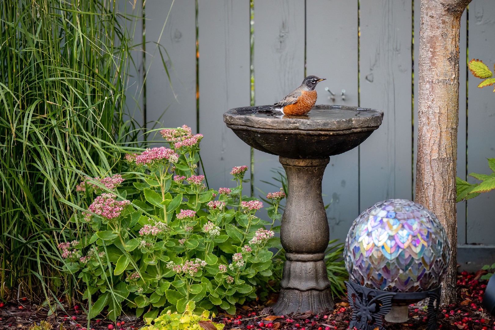 Create a Paradise for Feathered Friends: Your Ultimate Guide to Designing a Bird-Friendly Garden