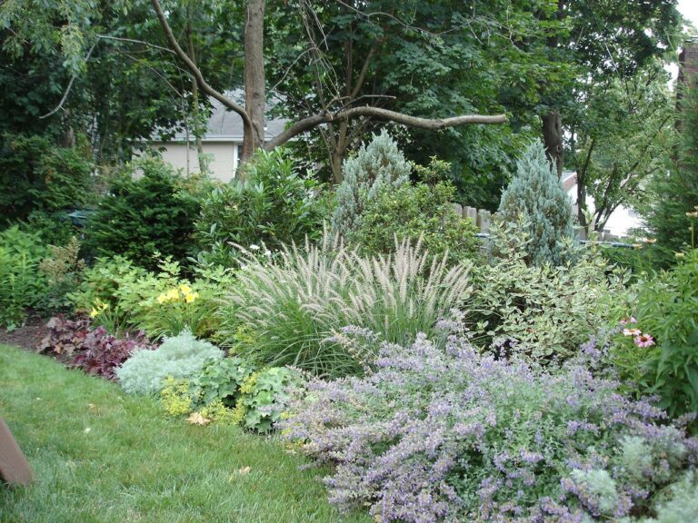 Creating Your Private Oasis: The Ultimate Guide to Planting Perennial Shrubs for Privacy