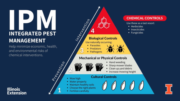Integrated Pest Management: Your Ultimate Guide to Sustainable Pest Control