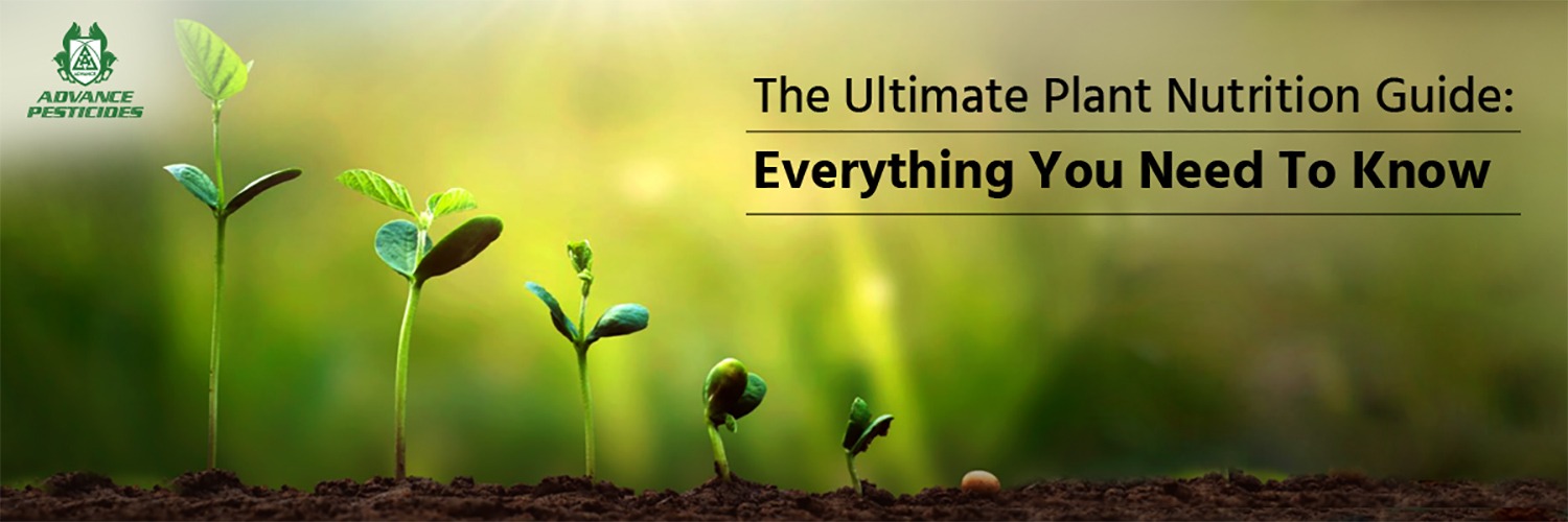 Unlocking the Secrets: A Comprehensive Guide to Understanding Plant Nutrient Requirements