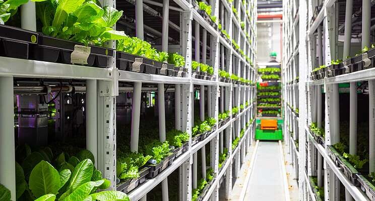 Sky-High Harvests: Exploring the Groundbreaking Innovations in Vertical Farm Technology