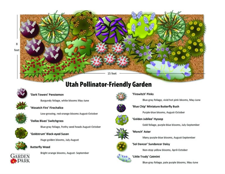 Navigating the Buzz: Design Challenges and Triumphs of a Pollinator Garden