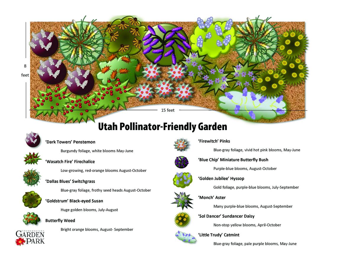 Navigating the Buzz: Design Challenges and Triumphs of a Pollinator Garden