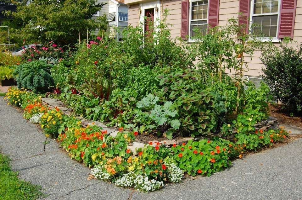 Edible Front Yards: Designing a Delicious and Sustainable Landscape