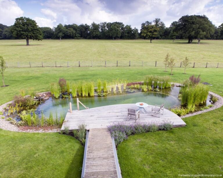 Dive into Tranquility: Your Ultimate Guide to Building a Natural Swimming Pond
