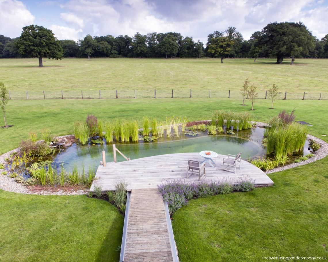Dive into Tranquility: Your Ultimate Guide to Building a Natural Swimming Pond