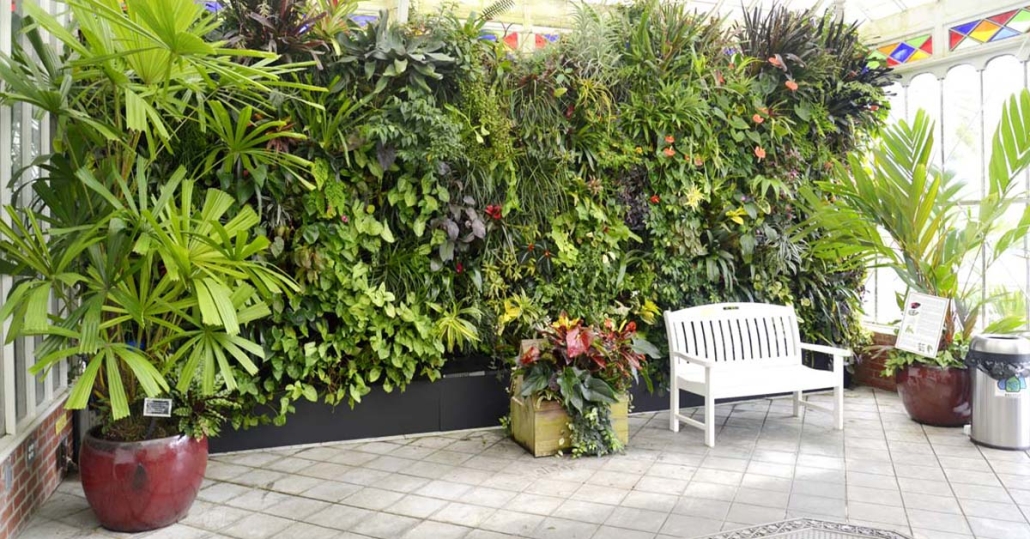 Cultivating Grandeur: A Comprehensive Guide to Choosing Plants for Large Estates
