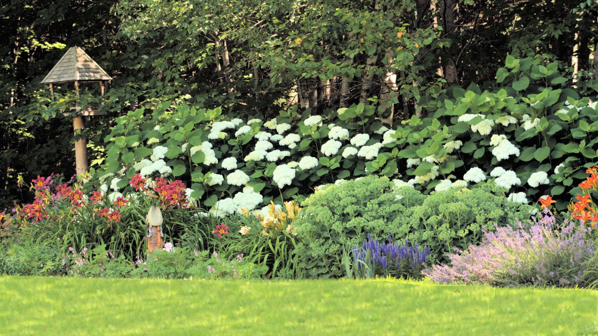 Crafting a Captivating Perennial Border: Your Ultimate Planting Guide for Year-Round Beauty