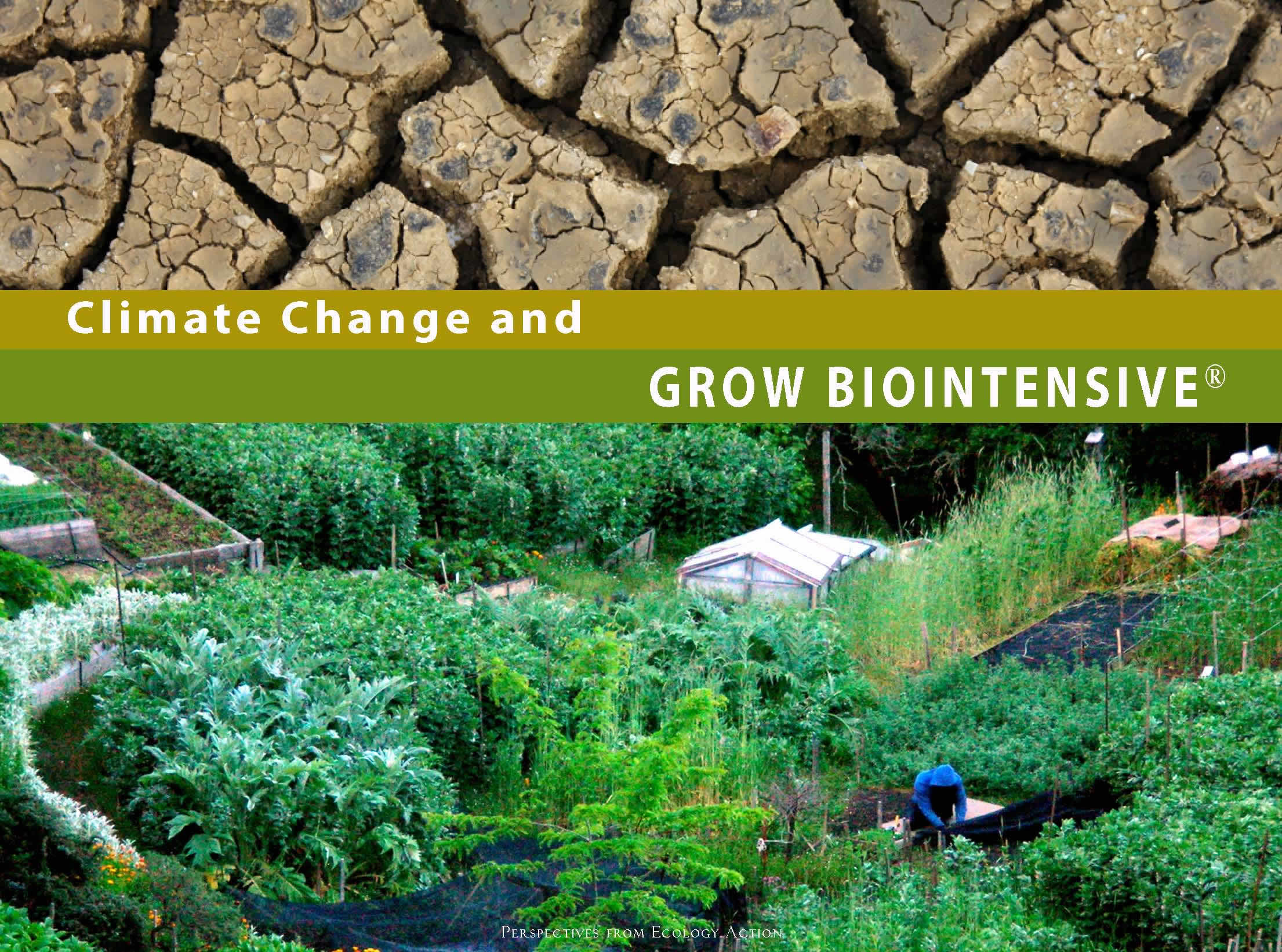 Unlocking Abundance: A Comprehensive Guide to Implementing Biointensive Gardening Methods