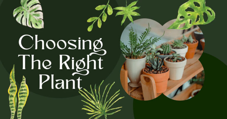 Landscaping Giants: Your Ultimate Guide to Choosing the Perfect Plants for Vast Spaces
