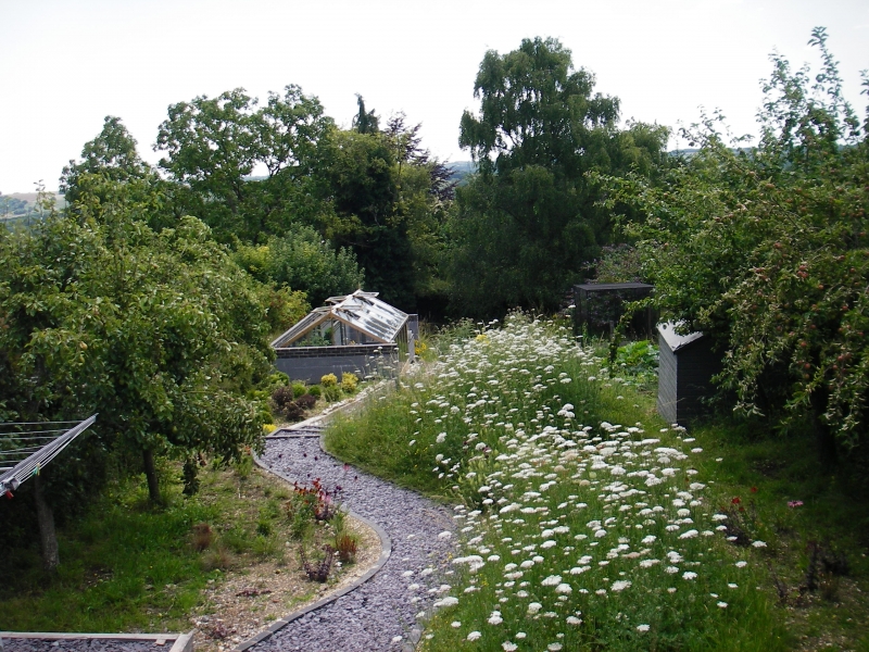 Creating a Wildlife-Friendly Garden: A Guide to Design, Planting, and Sustainable Practices
