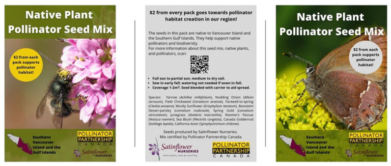 Cultivating a Pollinator Paradise: How to Attract Native Pollinators for Seed Production