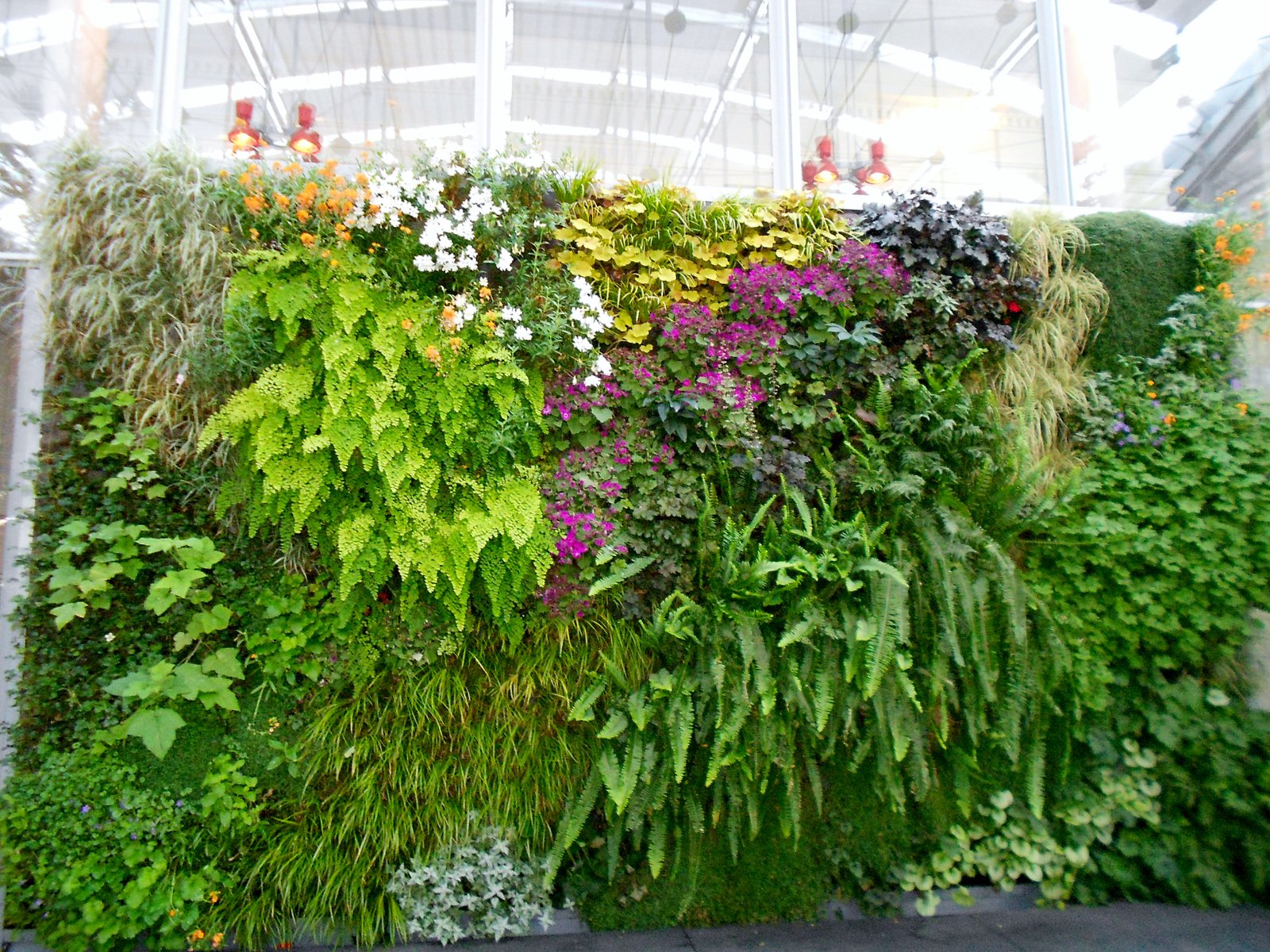 Blooming Brilliance: Crafting a Thriving Native Plant Living Wall for Your Home