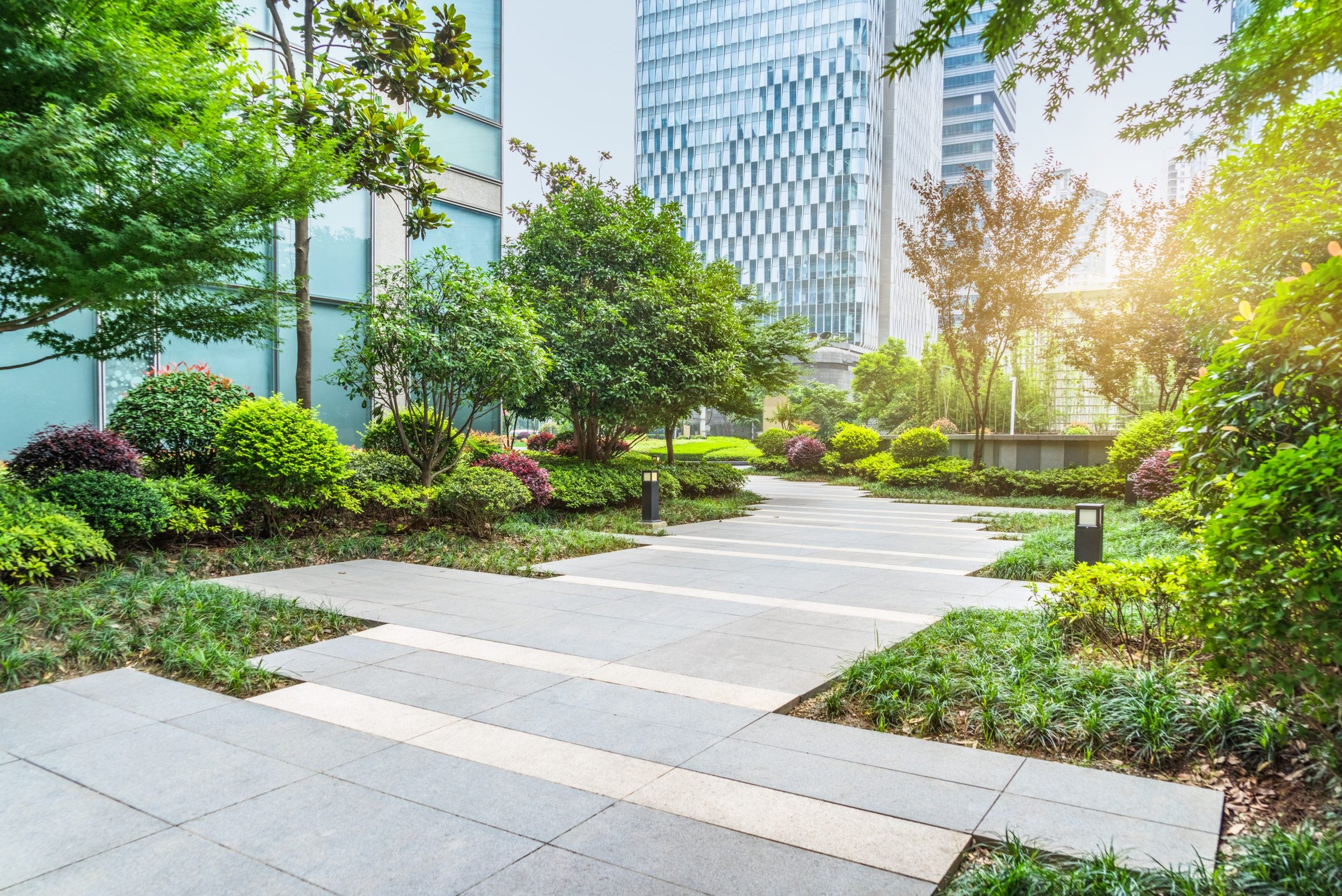 Building a Greener Tomorrow: The Ultimate Guide to Sustainable Landscape Construction