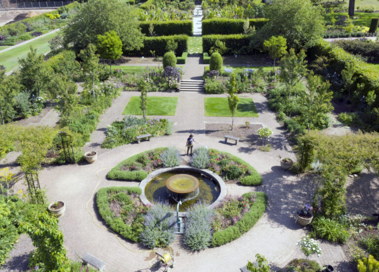 Creating Your Tranquil Oasis: A Comprehensive Guide to Designing a Peaceful Garden Space