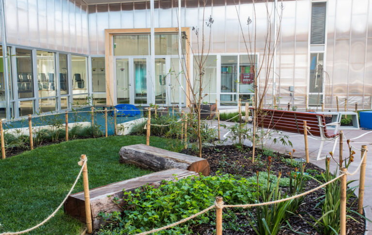 Designing a Sensory Garden: A Guide for Creating Inclusive Spaces for Special Needs