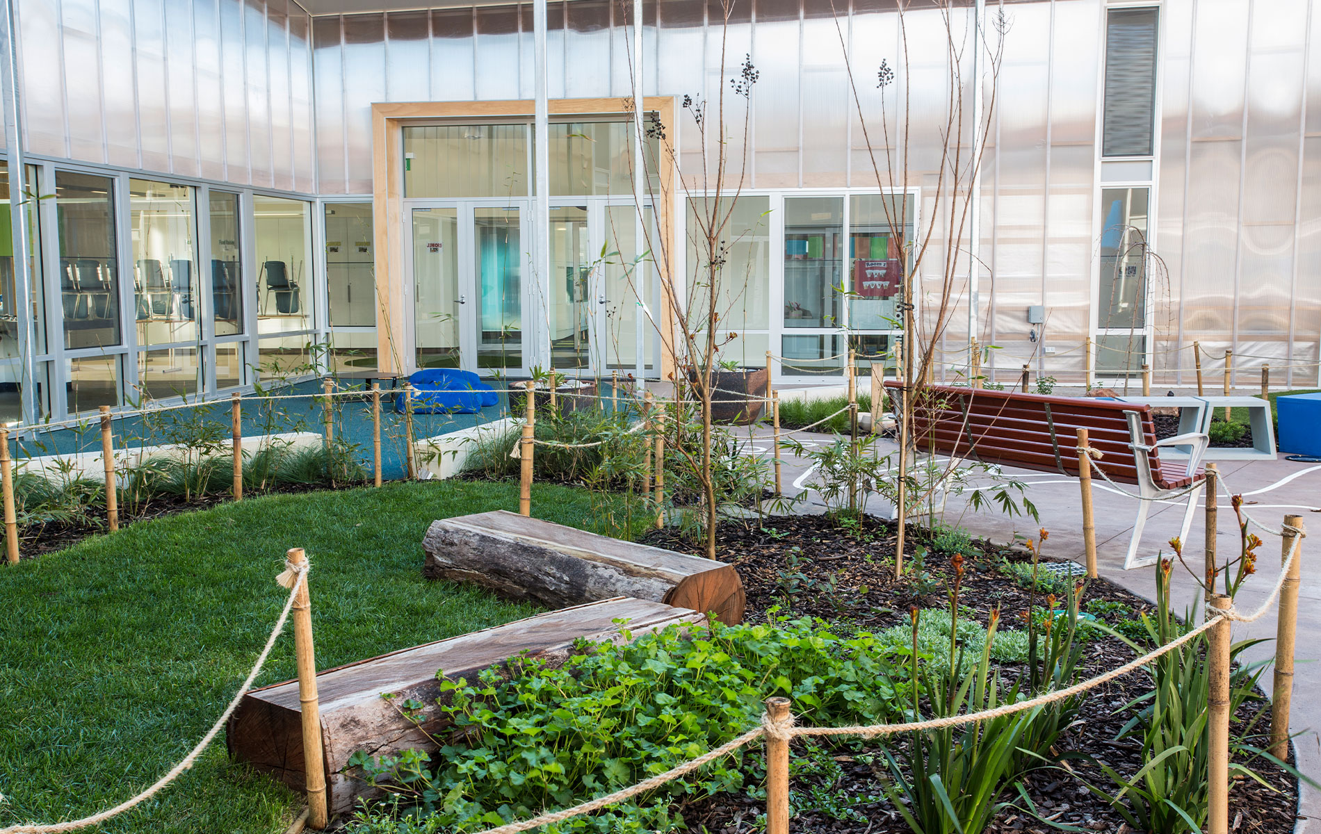 Designing a Sensory Garden: A Guide for Creating Inclusive Spaces for Special Needs
