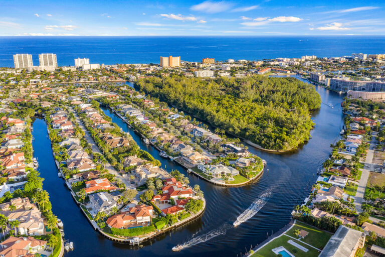 Shoreline Sanctuary: Unveiling the Best Plants for Your Waterfront Property