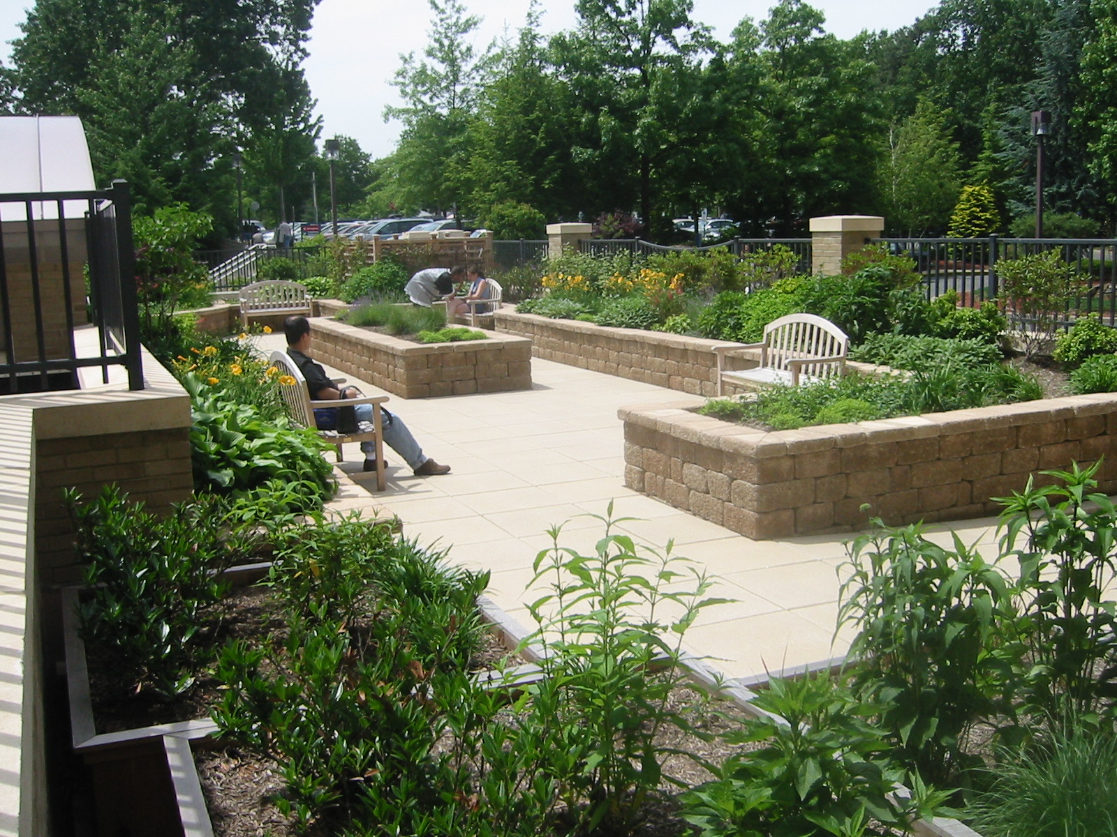 Crafting Serenity: Designing a Healing Garden for Mind, Body, and Soul
