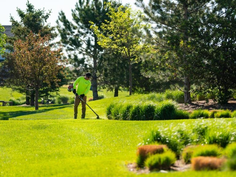 Cultivating a Greener Tomorrow: Sustainable Landscape Maintenance Strategies for a Thriving Ecosystem