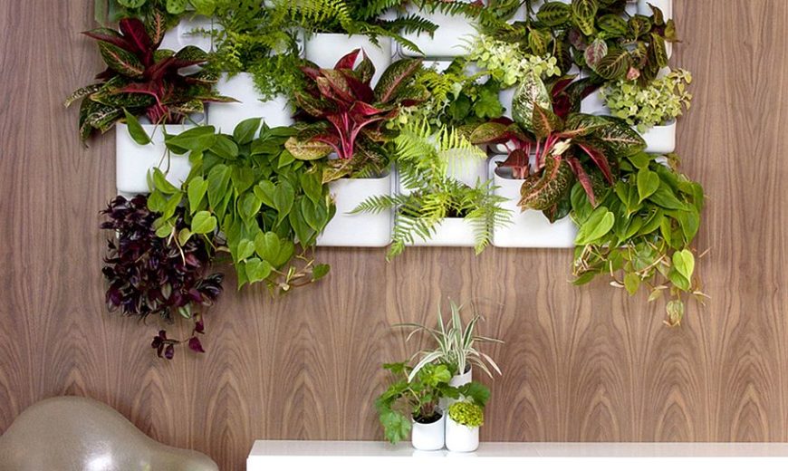 Bring the Outdoors In: Your Ultimate Guide to Creating a Thriving Indoor Living Wall