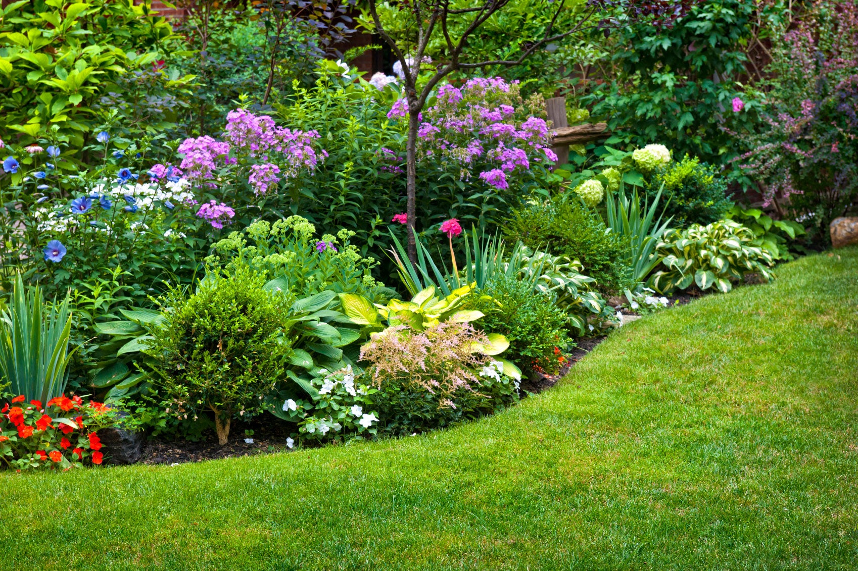 Cultivating a Thriving Perennial Herb Garden: Your Ultimate Guide to Year-Round Flavor and Fragrance